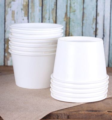 Takeout Disposable White Food Grade Noodle Paper Bowl PE Lined Offset Printing 16oz White Disposable Bowls
