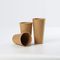 Insulated Lining Printed 18oz Biodegradable Kraft Paper Cups Hot Beverage Packaging
