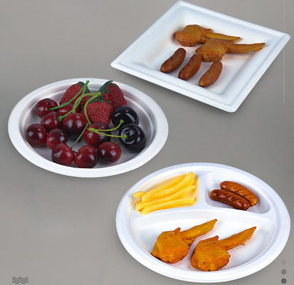 Made of Natural Sugarcane Fibers Eco Friendly Fully Biodegradable Disposable White Bagasse Plate