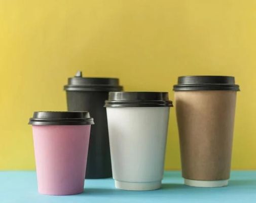 Custom Biodegradable 6oz 8oz 9oz 12oz 16oz Kraft Paper Cups Disposable Double Wall Coffee Paper Cup